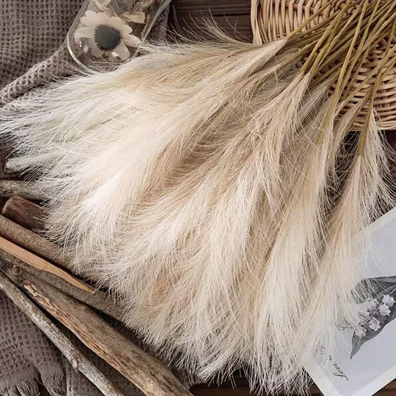 5 stuks/set kunstbloemen pampa - Pampas Grass Decor recensie en prijs